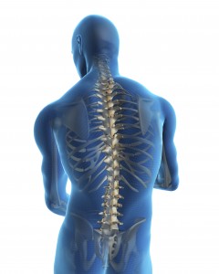 Human back with a visible pain